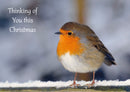 Christmas Single Robin with words D2607