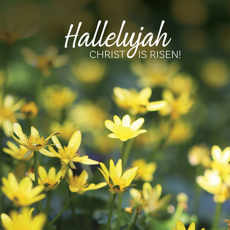 Easter Cards - Hallelujah Flowers - Pack of 5