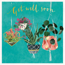 Get Well - hanging plants - S271 (New)