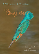 Wonder of a Kingfisher
