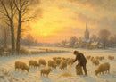 Christmas Sheep D2605