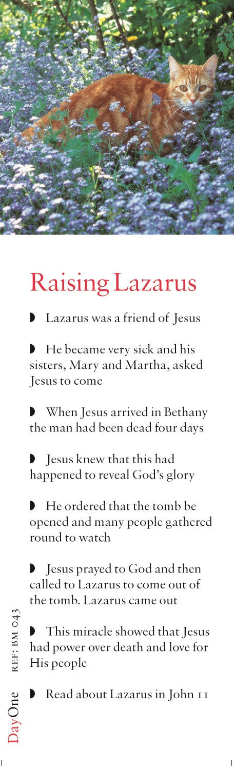 Raising Lazarus