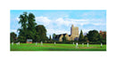 Blank Card - Cricket - L95C02