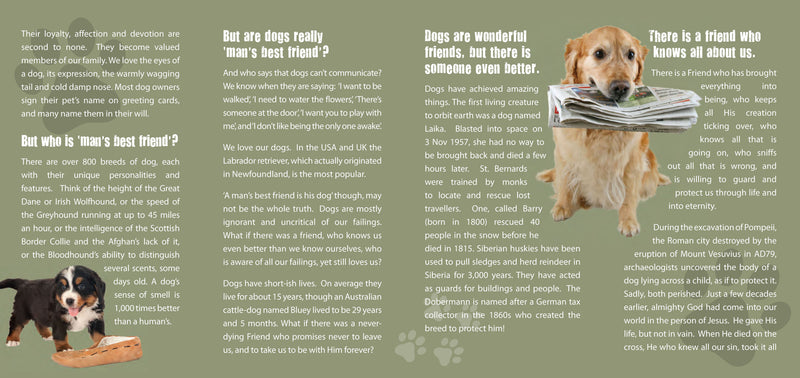 Man's best friend is...